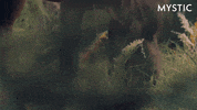 Bbc What GIF by Mystic