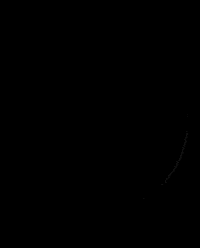 New Moon Night GIF