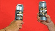 Party Beer GIF by StickerGiant