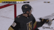 happy ice hockey GIF by NHL