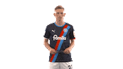 2 Bundesliga Football Sticker by Holstein Kiel