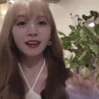 K Pop Cutie GIF