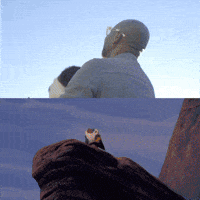 Lion King Cute Dog GIF by Dr. U Hair and Skin Clinic