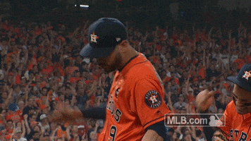 Houston Astros GIF by MLB
