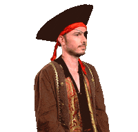 Pirate Wink Sticker by HolidayPirates
