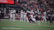 Football Celebration GIF by New England Patriots