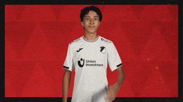 Tsg Hoffenheim Football GIF by Bundesliga