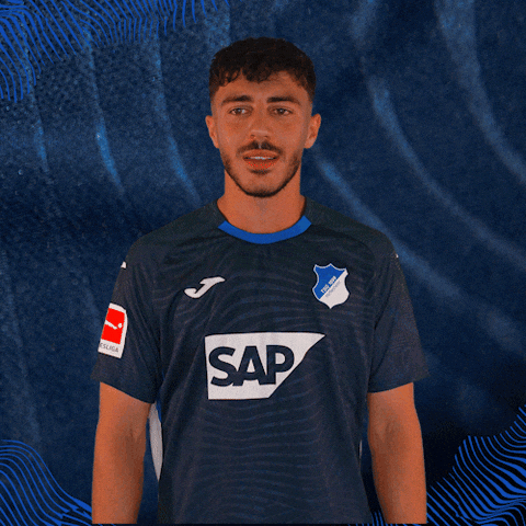Sport Bundesliga GIF by TSG Hoffenheim