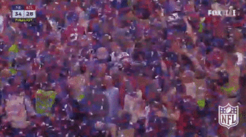 new england patriots football GIF by NFL