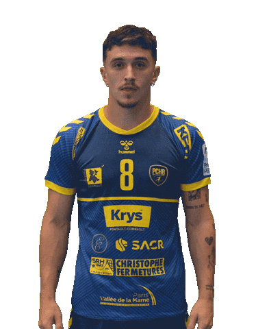 Pontault Pchb Sticker by Pontault-Combault Handball