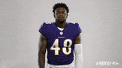 Charm City What GIF by Baltimore Ravens