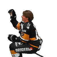 Hockey Fuessen Sticker by EV Füssen