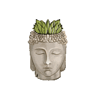 Yoga Plant Sticker
