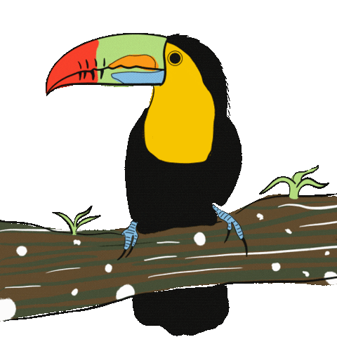 Bird Charlotte Sticker