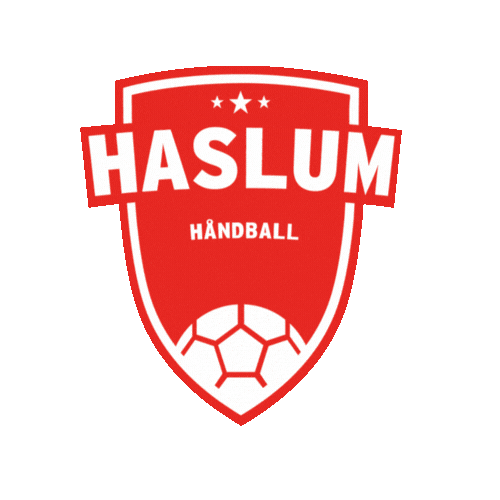 Rema1000Ligaen Haslumhk Sticker by Norsk Topphåndball