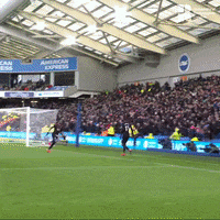 Premier League Sport GIF by CPFC