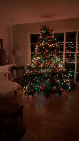 Merry Christmas Sparkle GIF by Tricia  Grace
