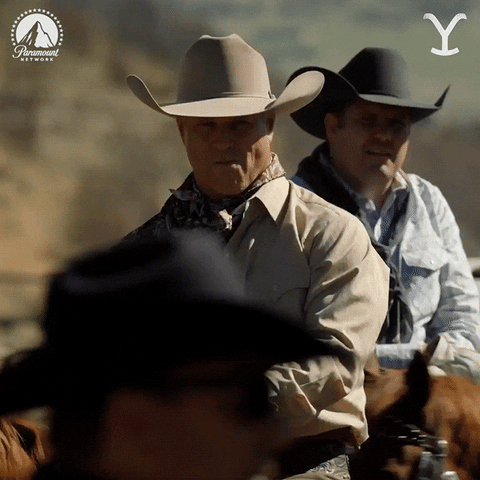 Paramountnetwork Yes GIF by Yellowstone