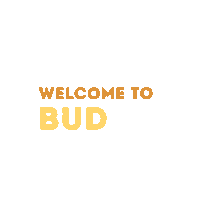 budapestairport utazas budapestairport reptér budgifs Sticker