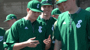 EMUAthletics emueagles emuathletics emubaseball GIF