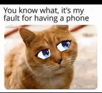 Cat Phone GIF