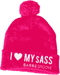 BarreGroove karinelaine Sticker