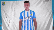 Football Sport GIF by ChemnitzerFC