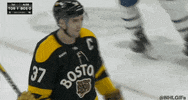 Happy Ice Hockey GIF by NHL