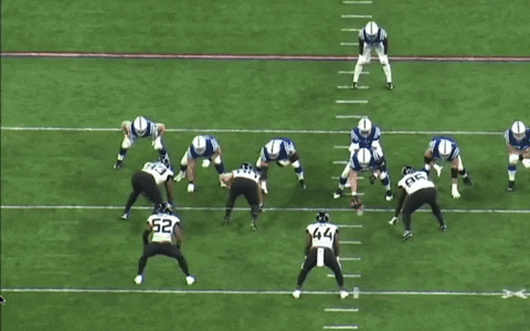 zachhicks giphygifmaker GIF