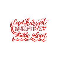Ataturk Laluz Sticker