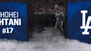 Los Angeles Dodgers Sport GIF by MLB