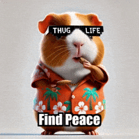 Find Peace Savor GIF by Guinea Gambino