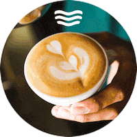 dezeeuwsebranding coffee latte barista cappuccino Sticker