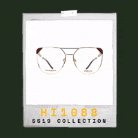 GIF by GO EYEWEAR