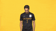 Sport Calstatela GIF by Cal State LA Golden Eagles