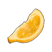 citreve citreve freezedriedlemonwedge citrevelemonwedge Sticker