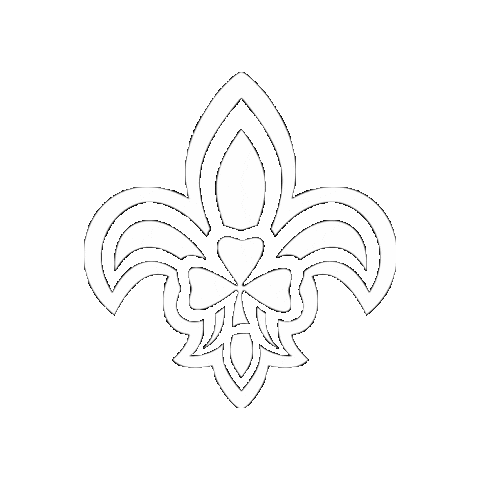 scoutingireland giphygifmaker scouting ireland irish scouts scoutingireland Sticker