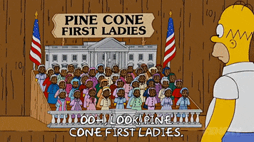 Season 18 Episode 20 GIF by The Simpsons