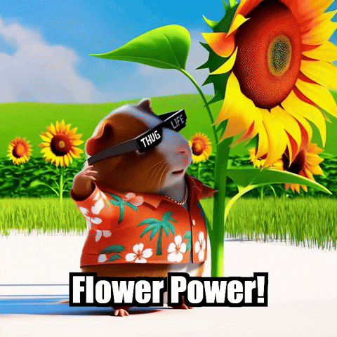 GIF by Guinea Gambino