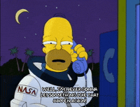 homer simpson GIF