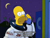 homer simpson GIF