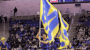 Basketball Flag GIF by McNeese Athletics