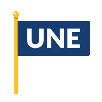 Noreasters Wavethatflag Sticker by University of New England