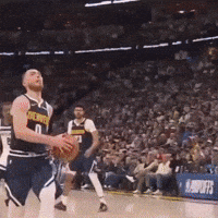 Denver Nuggets Minnesota GIF