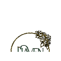 Thehavenyogastudio haven bakersfield thehaven thehavenyogastudio Sticker