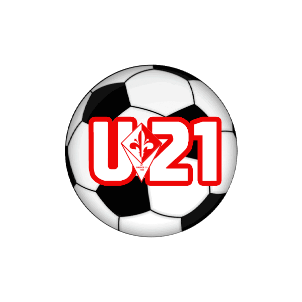 Conilgigliosulpetto Sticker by FirenzeC5