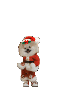 犬 Pom Sticker