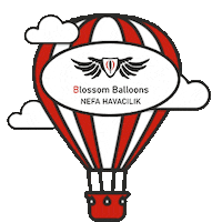 Balloon Sticker by Flower Balloons TR - Birlikte uçalım