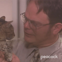 Dwight Loves Garbage, the Cat