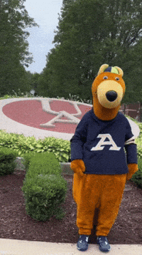 Coin Arms Crossed GIF by The University of Akron